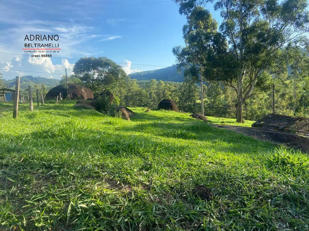 Fazenda, 39 hectares - Foto 3