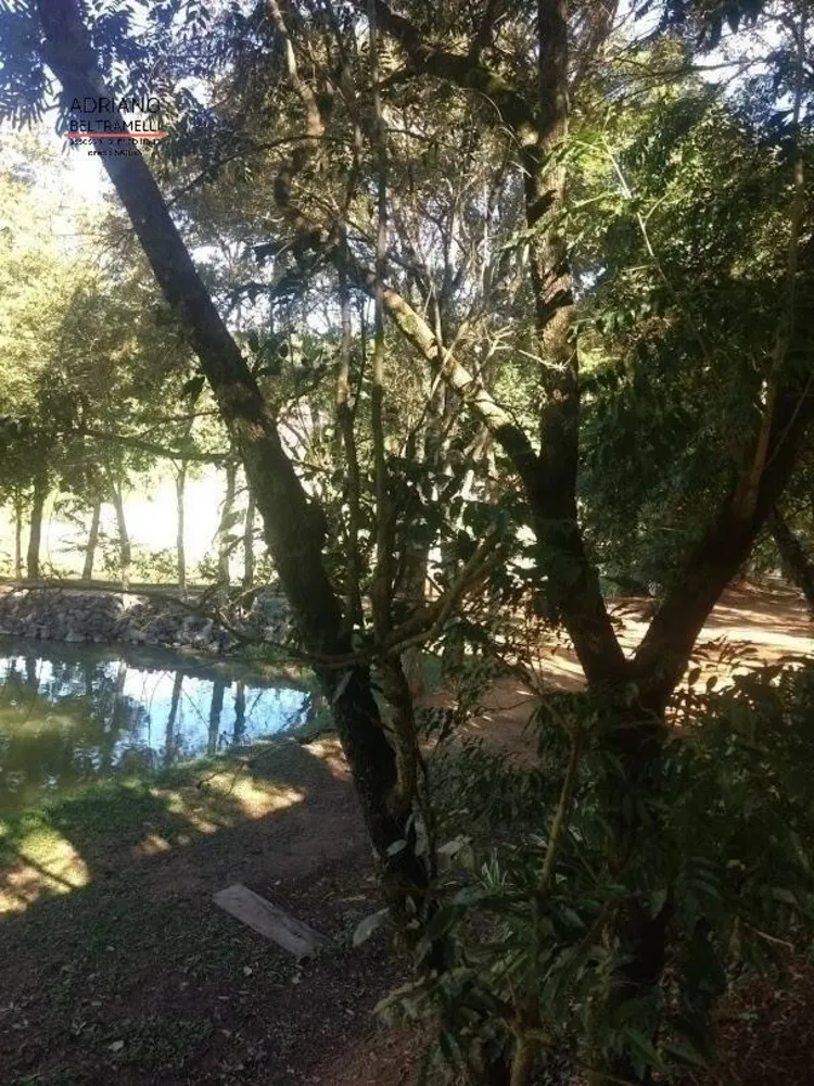 Terreno, 2 hectares - Foto 1