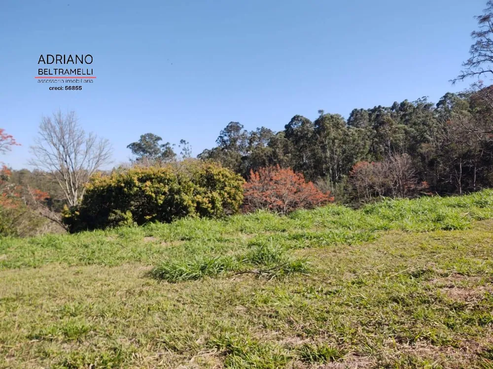 Terreno, 2 hectares - Foto 3
