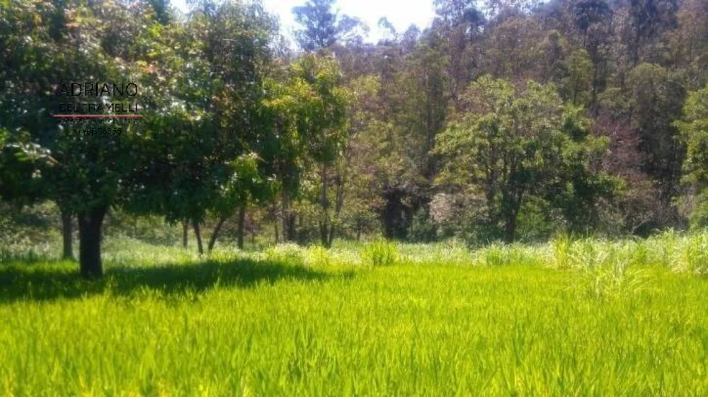 Terreno, 2 hectares - Foto 4