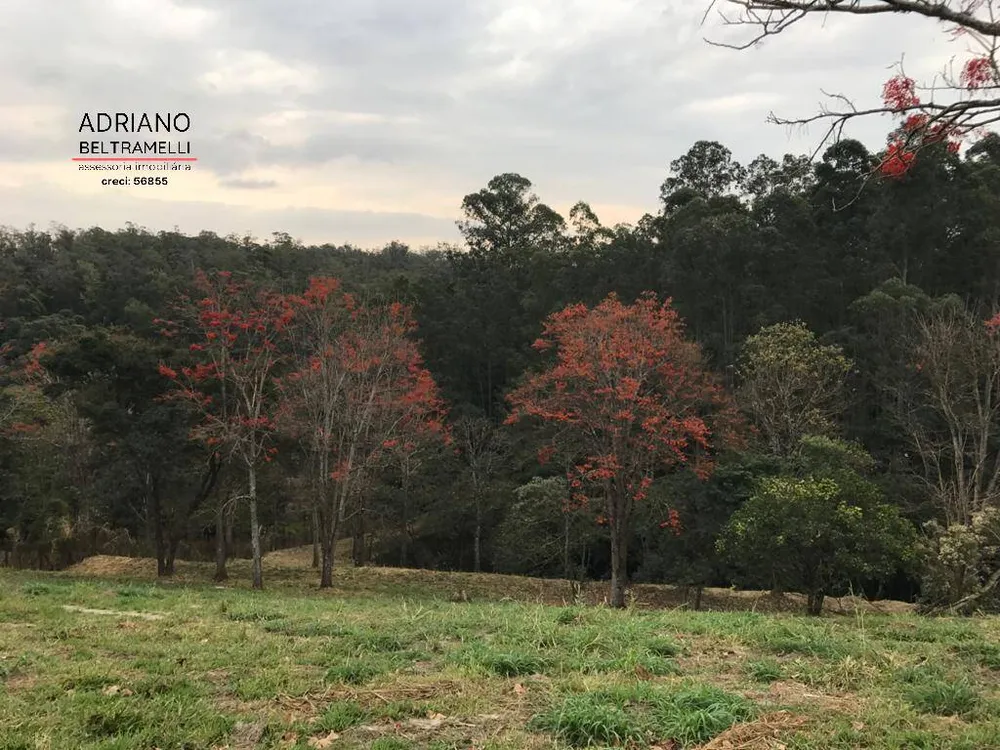 Terreno, 2 hectares - Foto 2