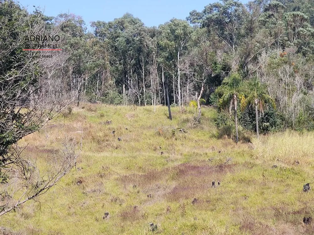 Terreno, 2 hectares - Foto 4