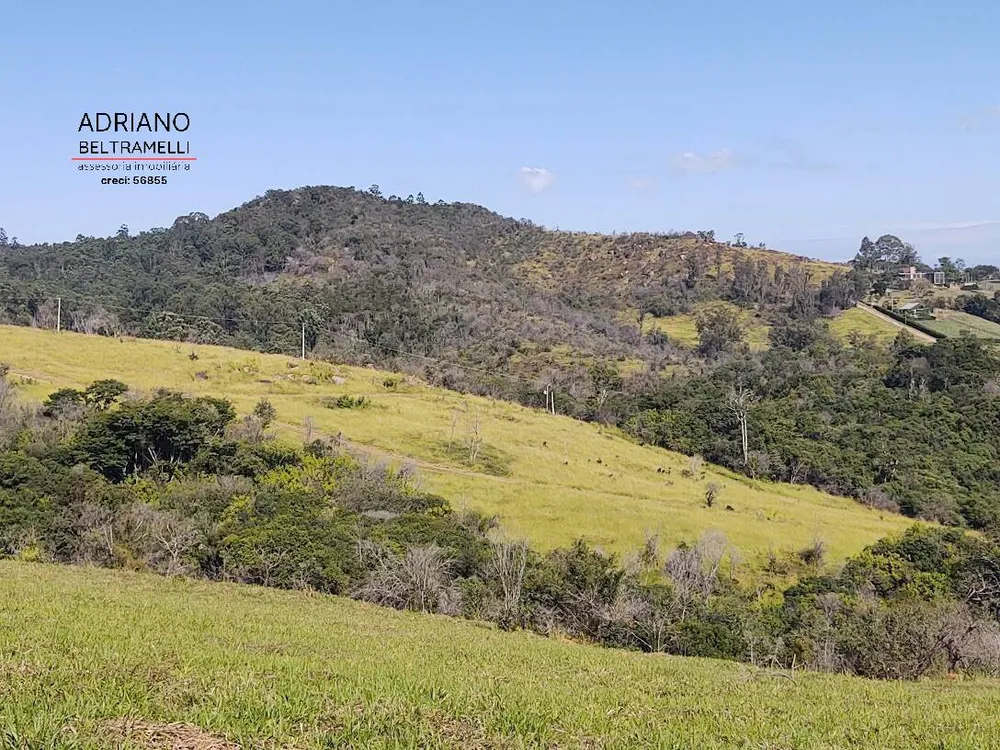 Terreno, 4 hectares - Foto 4