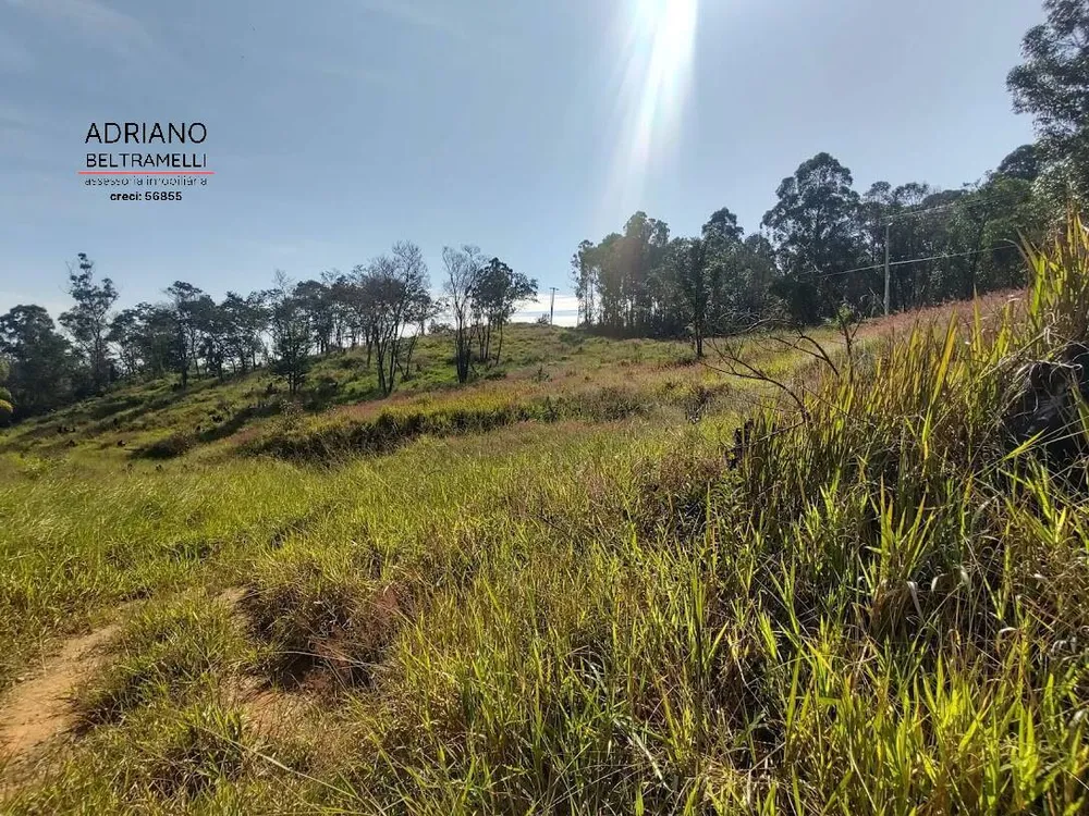 Terreno, 2 hectares - Foto 2