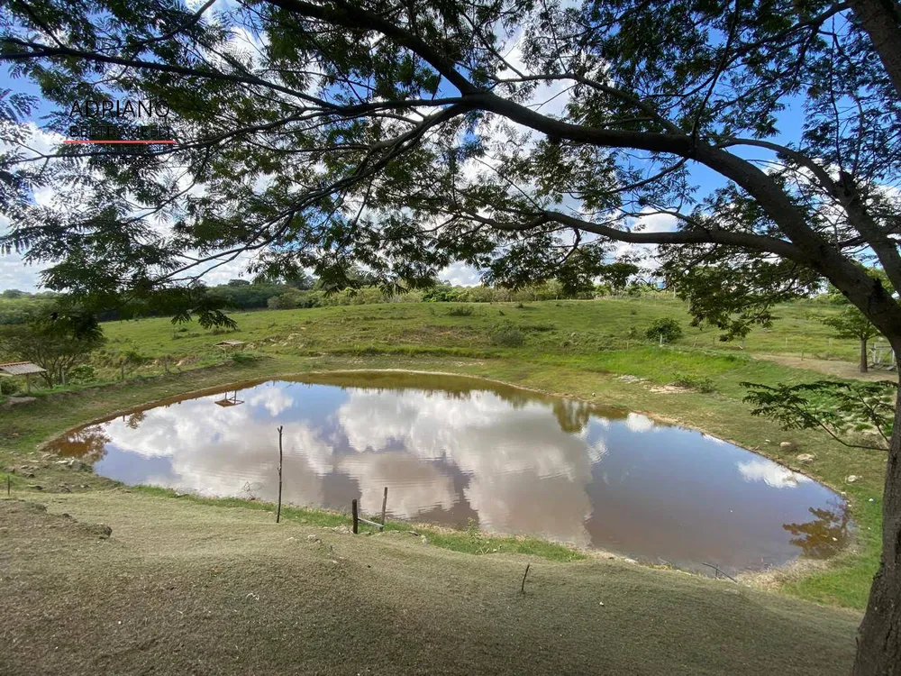 Terreno, 8 hectares - Foto 1