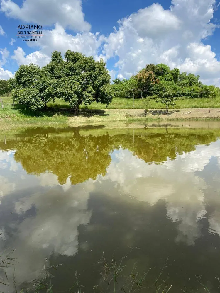 Terreno, 8 hectares - Foto 4