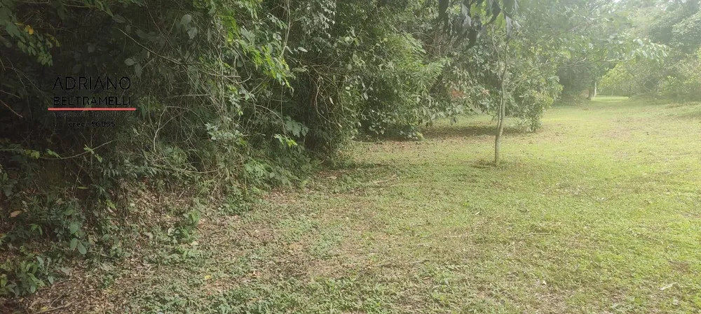 Terreno, 3 hectares - Foto 3