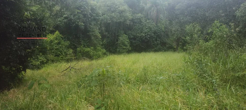 Terreno, 3 hectares - Foto 2