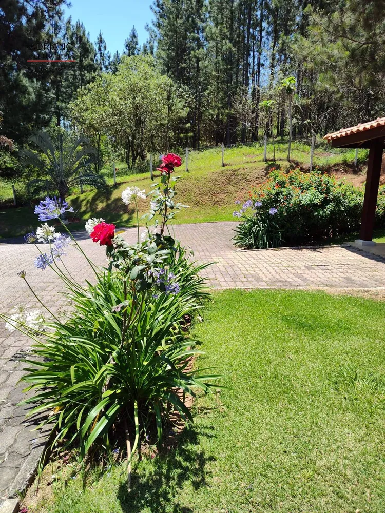 Chácara, 8 quartos, 4 hectares - Foto 2