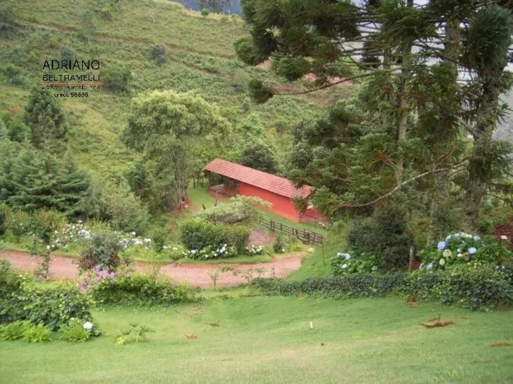 Sítio, 6 quartos, 44 hectares - Foto 2