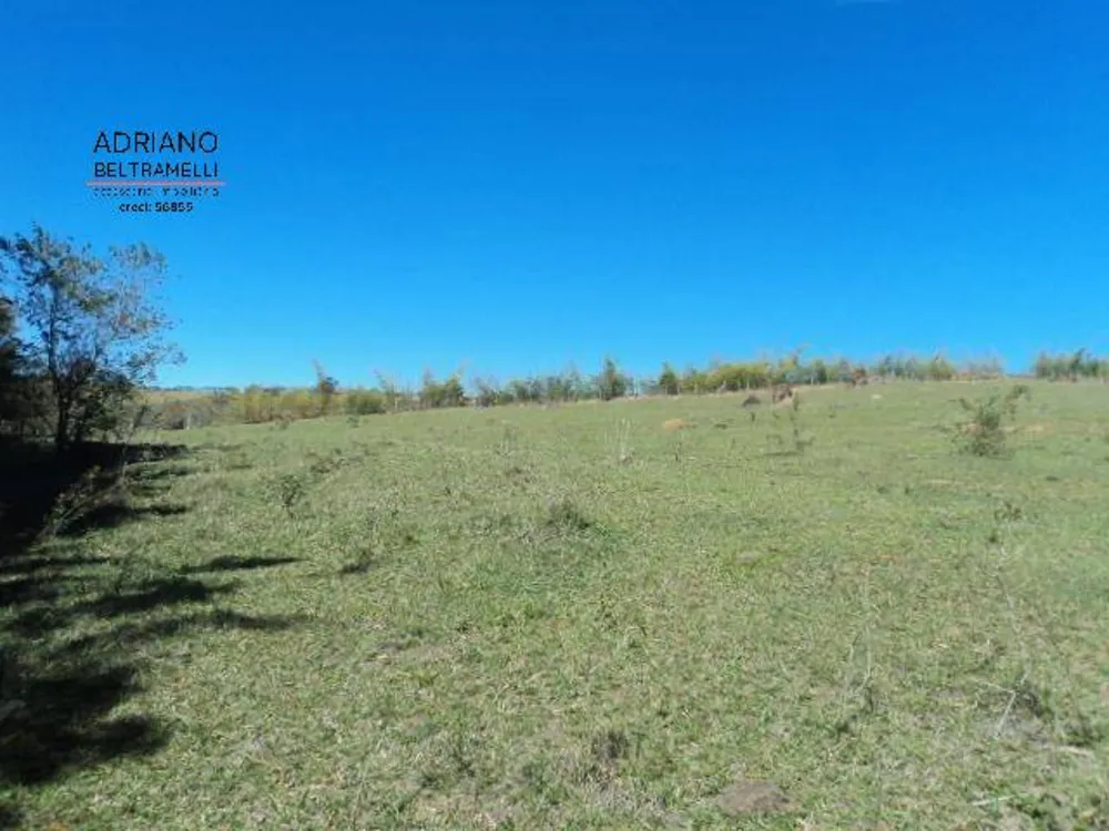 Sítio, 10 quartos, 14 hectares - Foto 3