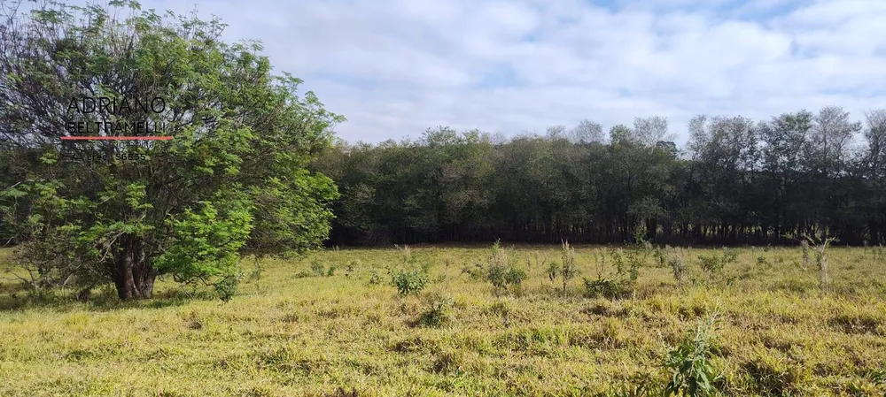 Terreno, 11 hectares - Foto 1