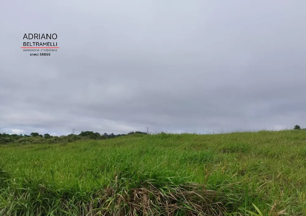 Terreno, 2 hectares - Foto 3