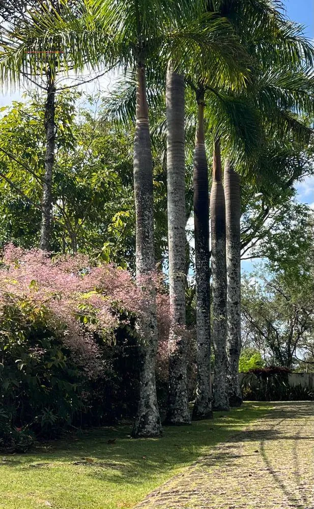 Casa de Condomínio, 6 quartos - Foto 4