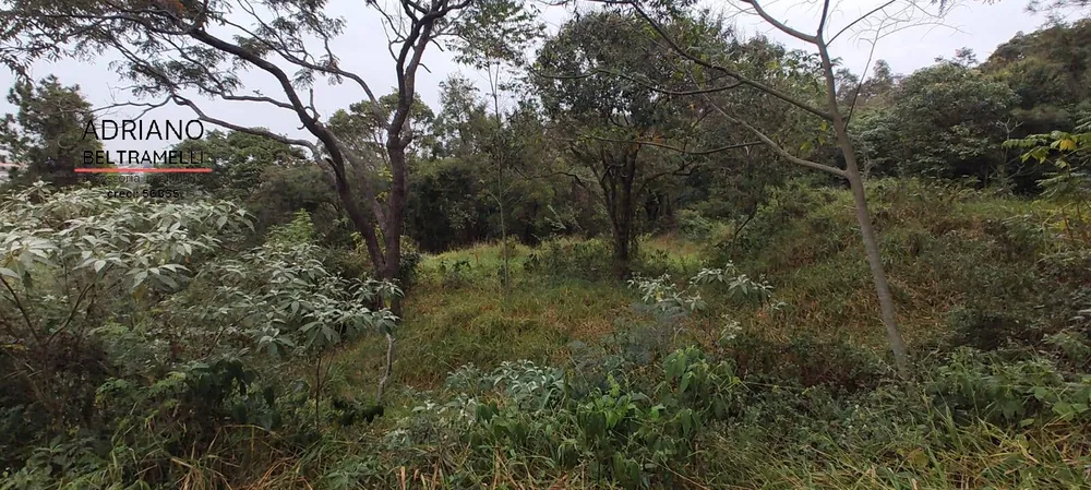 Terreno, 2500 m² - Foto 1