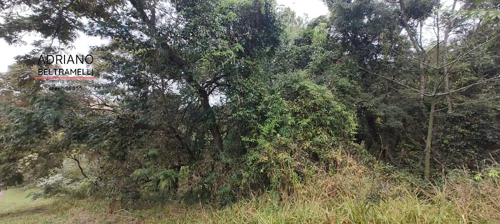 Terreno, 2500 m² - Foto 2