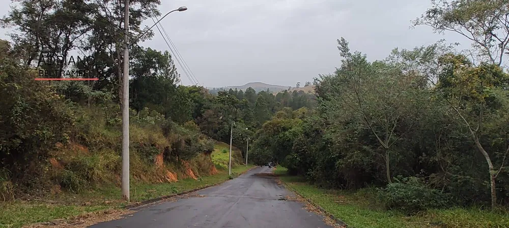Terreno, 2500 m² - Foto 4