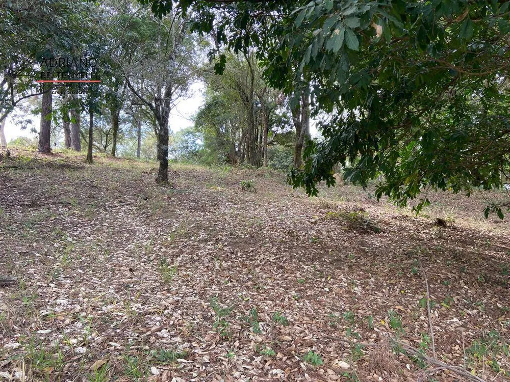 Terreno, 2500 m² - Foto 1