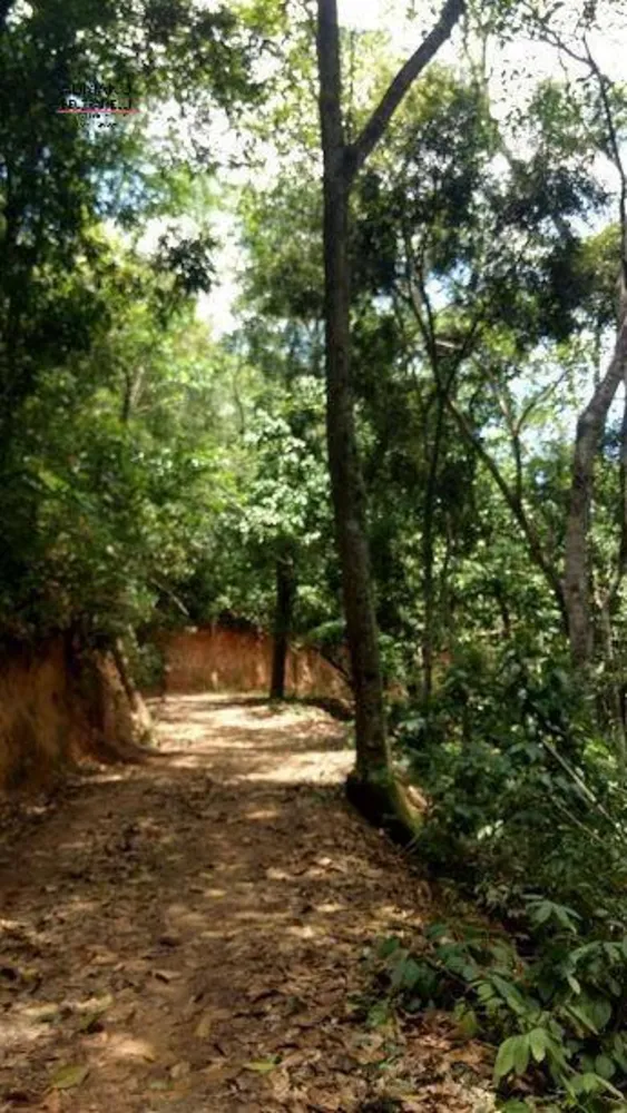 Terreno, 8 hectares - Foto 2