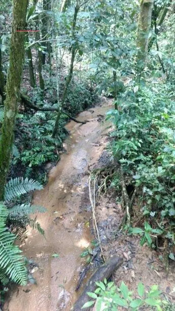Terreno, 8 hectares - Foto 3
