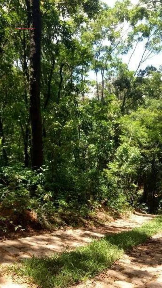 Terreno, 8 hectares - Foto 4