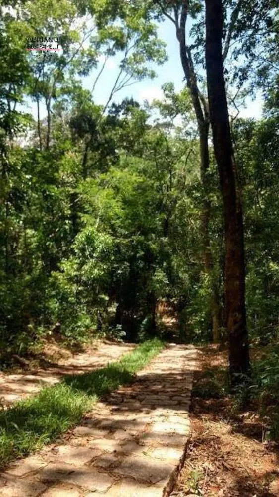 Terreno, 8 hectares - Foto 1