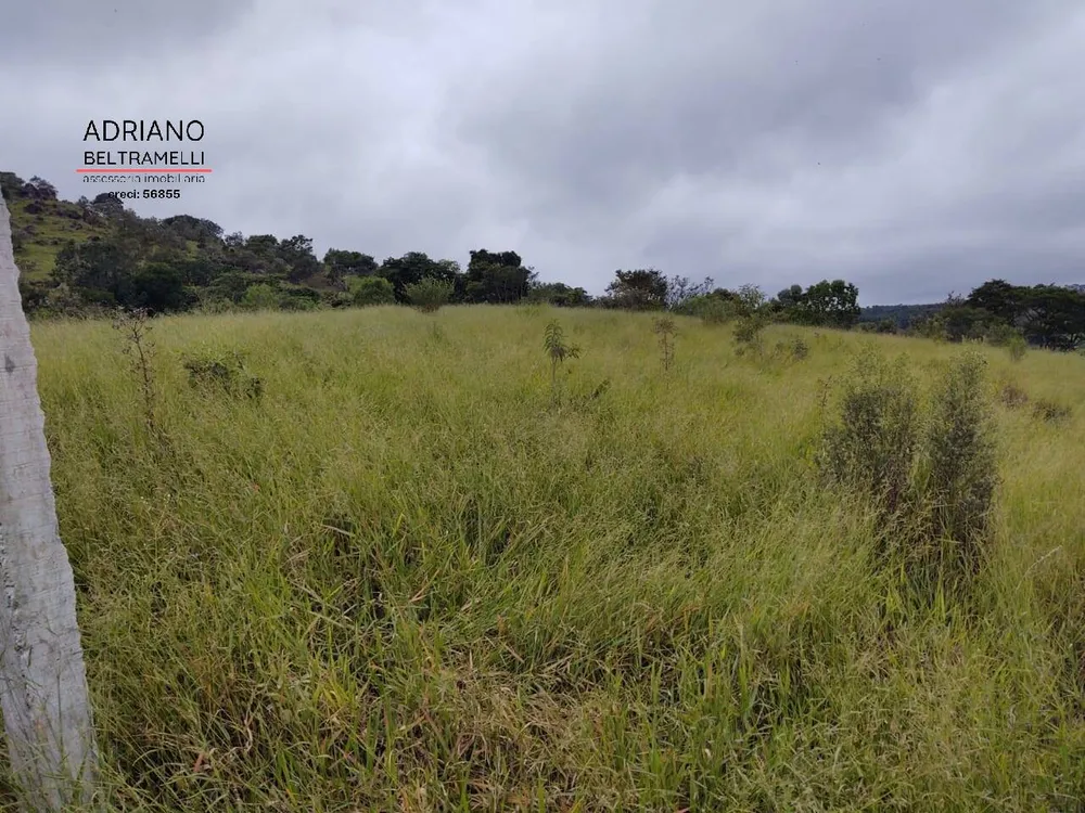 Terreno, 4 hectares - Foto 2