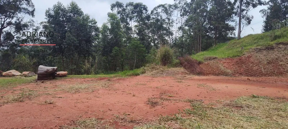 Terreno, 2000 m² - Foto 2