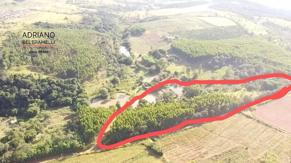 Terreno, 5 hectares - Foto 3