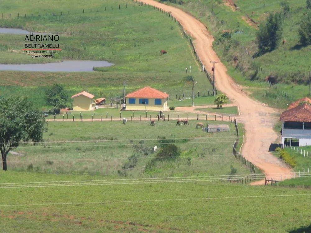 Fazenda, 22 hectares - Foto 4