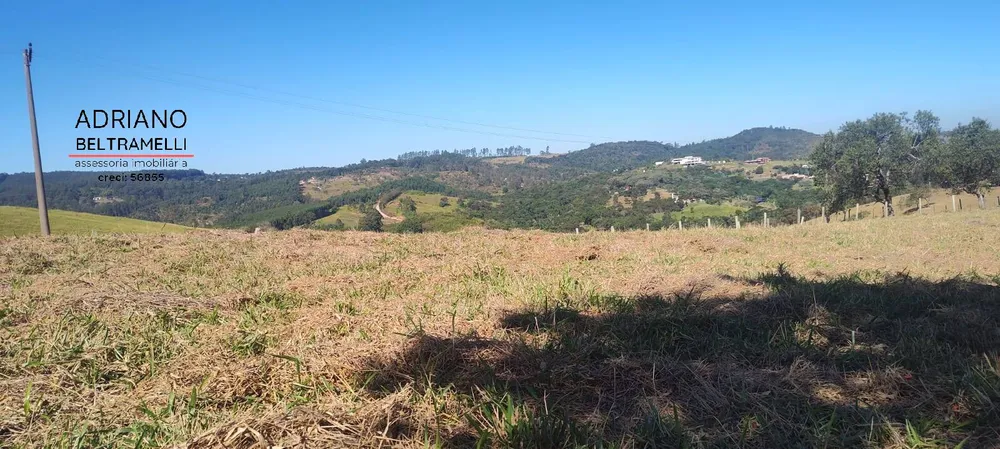 Terreno, 2 hectares - Foto 2