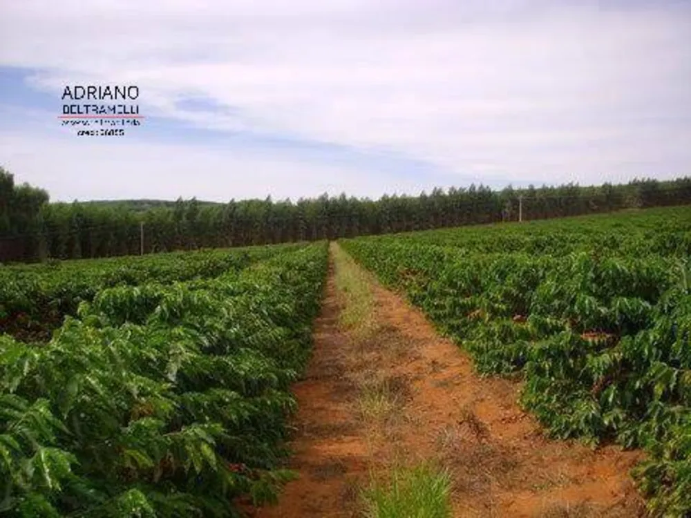 Fazenda, 319 hectares - Foto 1