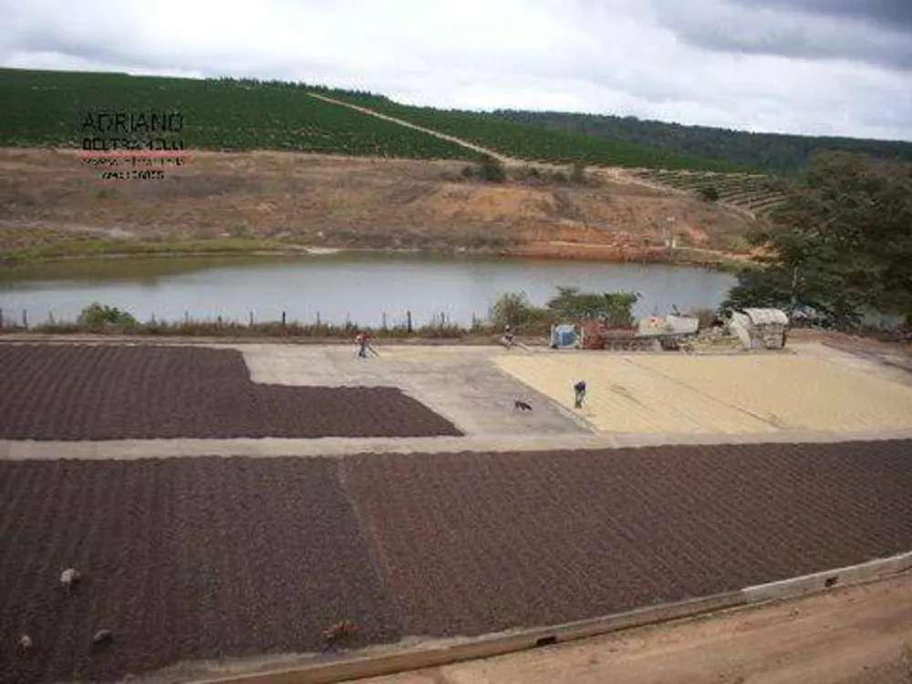 Fazenda, 319 hectares - Foto 4