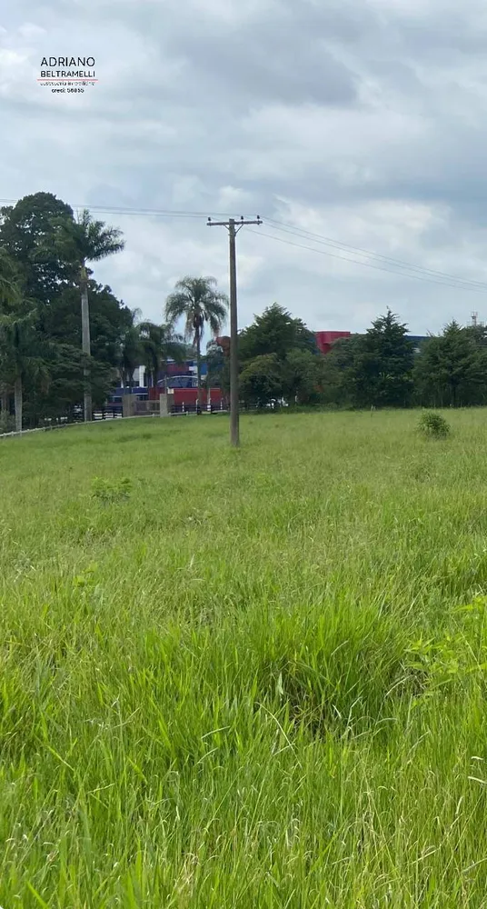 Terreno, 30 hectares - Foto 3