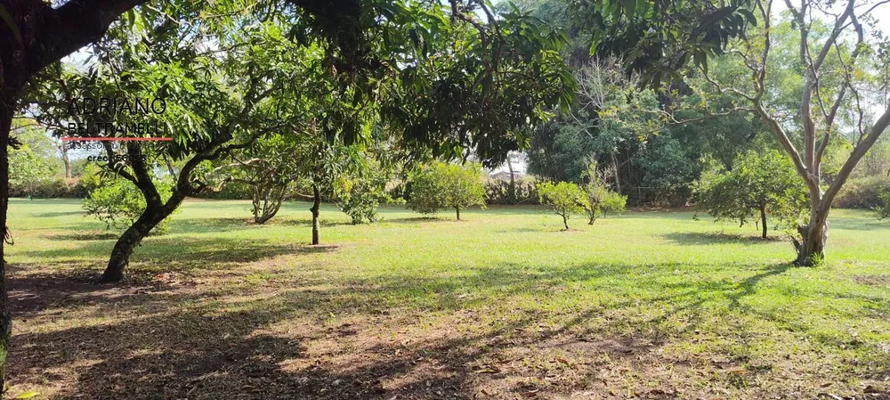 Sítio, 6 quartos, 4 hectares - Foto 4