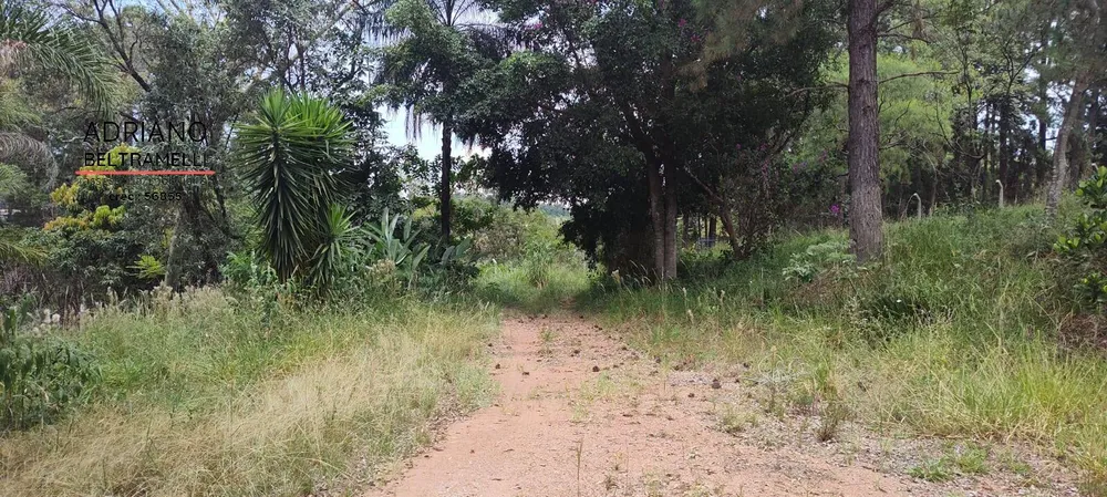 Chácara, 4 quartos, 6 hectares - Foto 3