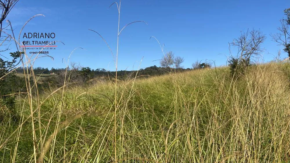 Terreno, 4 hectares - Foto 4