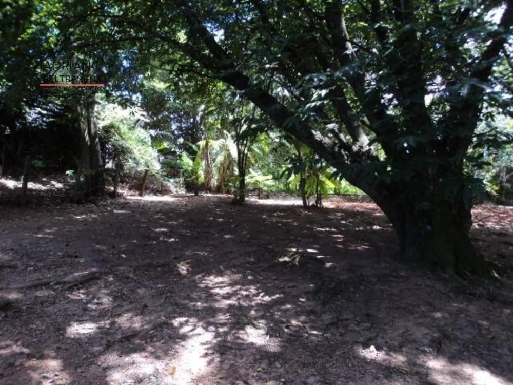 Terreno, 3000 m² - Foto 2