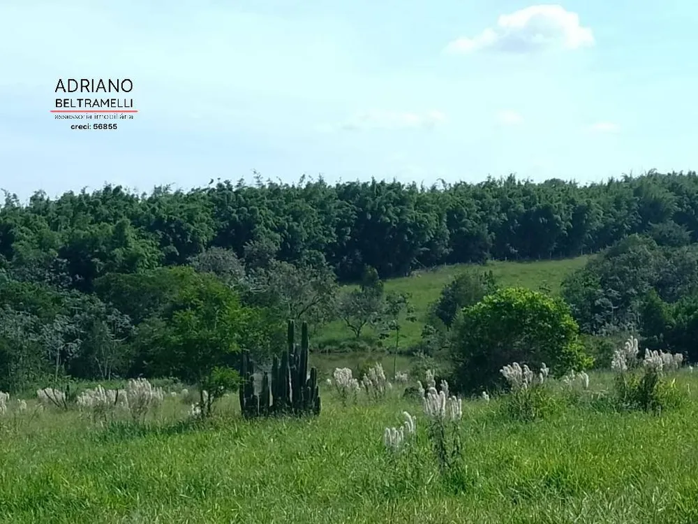 Fazenda, 199 hectares - Foto 2