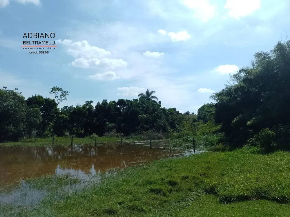 Fazenda, 199 hectares - Foto 4