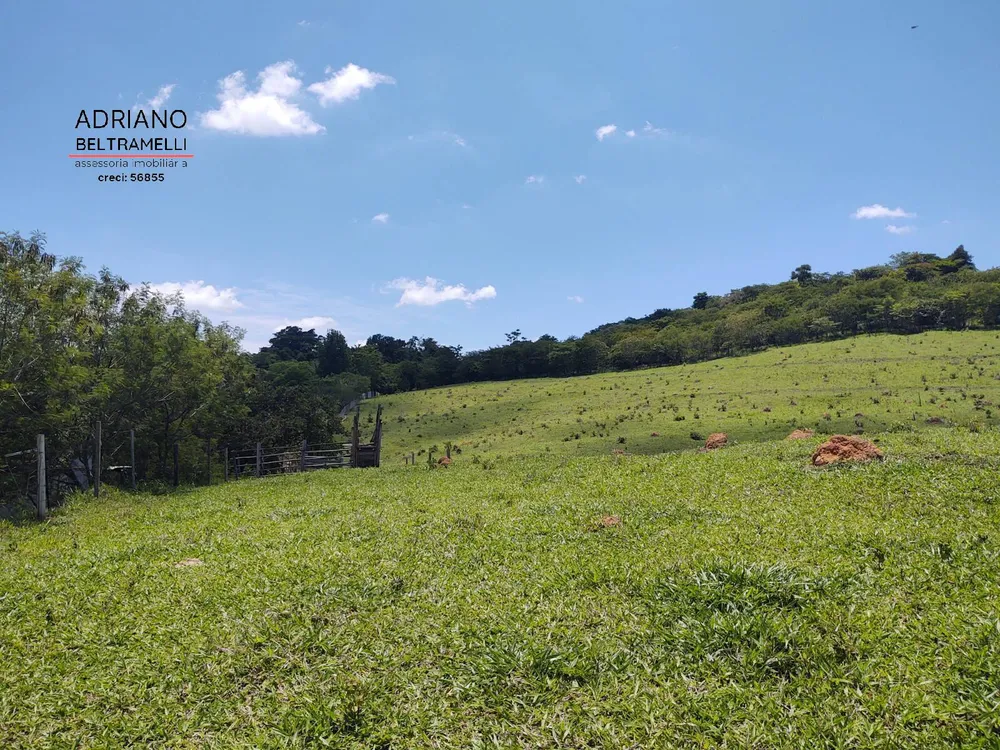 Terreno, 3 hectares - Foto 3