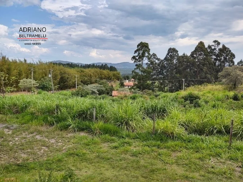 Terreno, 6 hectares - Foto 3