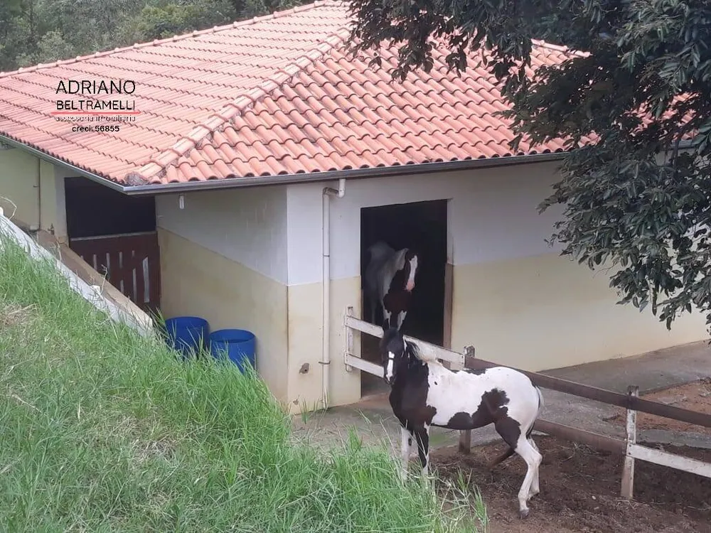 Sítio, 3 quartos, 3 hectares - Foto 2