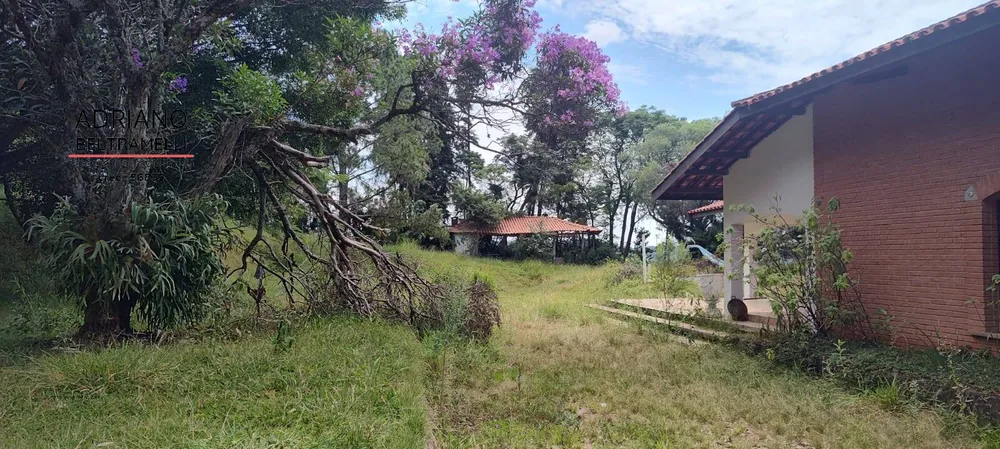 Sítio, 4 quartos, 6 hectares - Foto 3