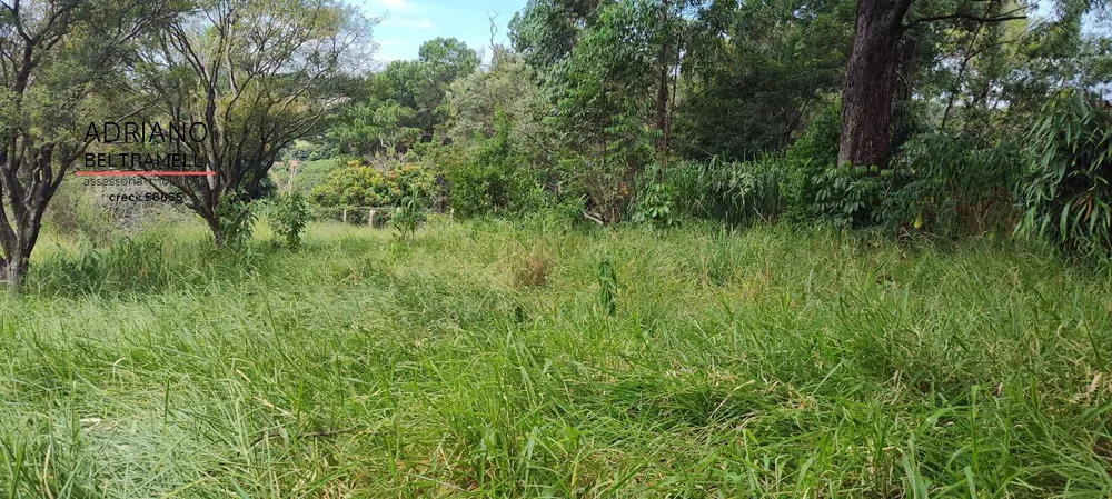 Sítio, 4 quartos, 6 hectares - Foto 4