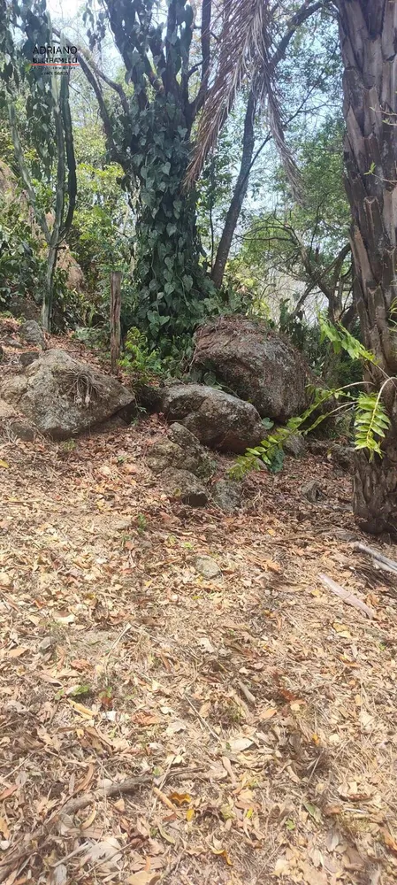 Sítio, 5 quartos, 9 hectares - Foto 1