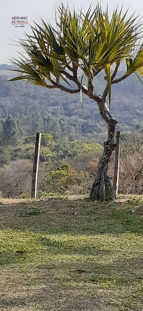 Sítio, 5 quartos, 9 hectares - Foto 4