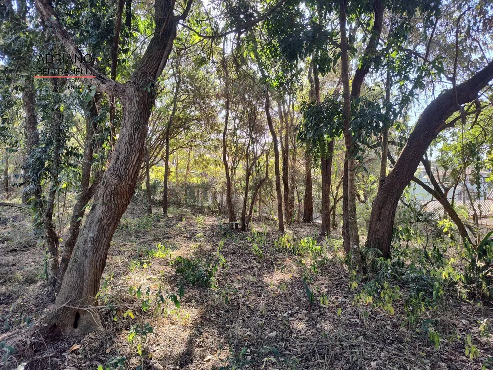 Terreno, 4000 m² - Foto 2