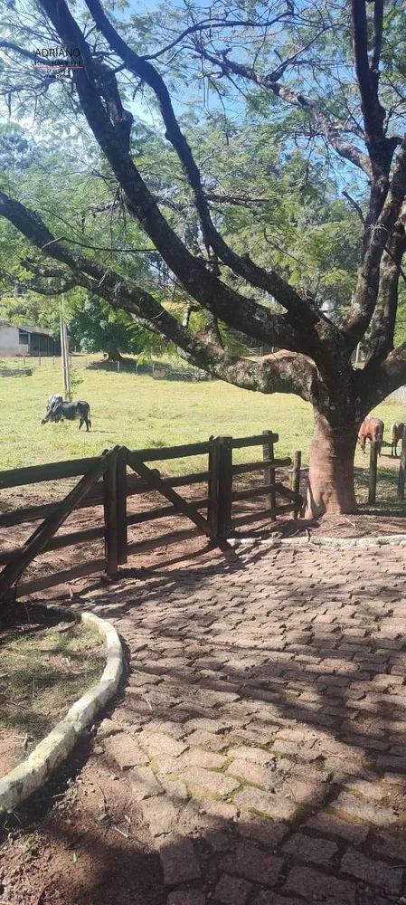 Fazenda, 6 hectares - Foto 3