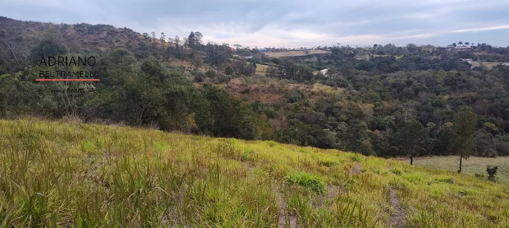 Terreno, 2 hectares - Foto 2